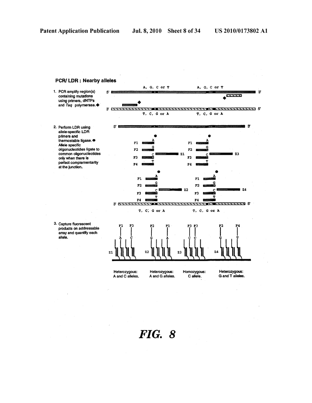 DETECTION OF NUCLEIC ACID SEQUENCE DIFFERENCES USING THE LIGASE DETECTION REACTION WITH ADDRESSABLE ARRAYS - diagram, schematic, and image 09