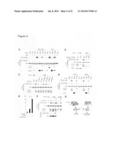 Phosphorylation and regulation of AKT/PKB by the rictor-mTOR complex diagram and image