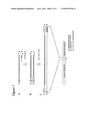 RNA INTERFERENCE MEDIATED INHIBITION OF STROMAL CELL-DERIVED FACTOR-1 (SDF-1) GENE EXPRESSION USING SHORT INTERFERING NUCLEIC ACID (siNA) diagram and image