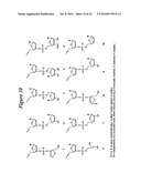 RNA INTERFERENCE MEDIATED INHIBITION OF STROMAL CELL-DERIVED FACTOR-1 (SDF-1) GENE EXPRESSION USING SHORT INTERFERING NUCLEIC ACID (siNA) diagram and image