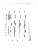 RNA INTERFERENCE MEDIATED INHIBITION OF STROMAL CELL-DERIVED FACTOR-1 (SDF-1) GENE EXPRESSION USING SHORT INTERFERING NUCLEIC ACID (siNA) diagram and image