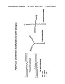 RNA INTERFERENCE MEDIATED INHIBITION OF STROMAL CELL-DERIVED FACTOR-1 (SDF-1) GENE EXPRESSION USING SHORT INTERFERING NUCLEIC ACID (siNA) diagram and image