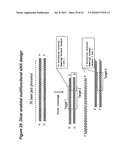 RNA INTERFERENCE MEDIATED INHIBITION OF STROMAL CELL-DERIVED FACTOR-1 (SDF-1) GENE EXPRESSION USING SHORT INTERFERING NUCLEIC ACID (siNA) diagram and image