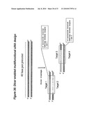 RNA INTERFERENCE MEDIATED INHIBITION OF STROMAL CELL-DERIVED FACTOR-1 (SDF-1) GENE EXPRESSION USING SHORT INTERFERING NUCLEIC ACID (siNA) diagram and image