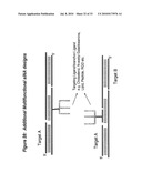 RNA INTERFERENCE MEDIATED INHIBITION OF STROMAL CELL-DERIVED FACTOR-1 (SDF-1) GENE EXPRESSION USING SHORT INTERFERING NUCLEIC ACID (siNA) diagram and image