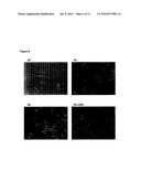 METHOD FOR INDUCING AUTOPHAGY diagram and image