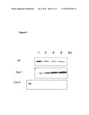 METHOD FOR INDUCING AUTOPHAGY diagram and image