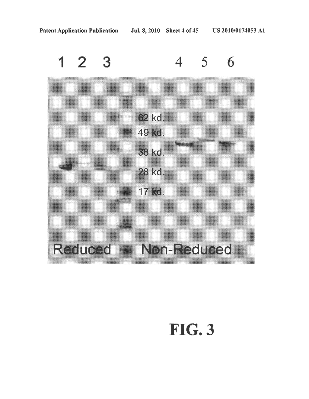 COVALENT DIABODIES AND USES THEREOF - diagram, schematic, and image 05