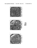 DENGUE SEROTYPE 2 ATTENUATED STRAIN diagram and image