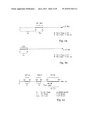 Control Device for a Compressed Air System of a Vehicle diagram and image