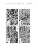 Polyamide Fine Fibers diagram and image