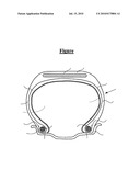 Pneumatic Article with Gas Tight Layer Including a Thermoplastic Elastomer diagram and image