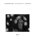 System and Methods Using Quantum Dots as General Dosimeters diagram and image