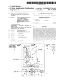 ELECTRICITY STORAGE DEVICE AND HYBRID DISTRIBUTED POWER SUPPLY SYSTEM diagram and image