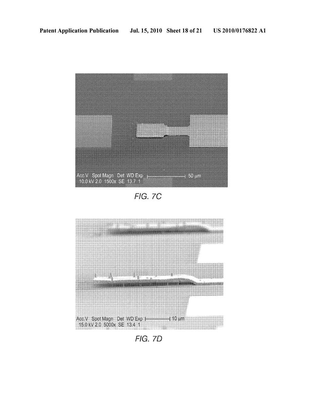 NANOWIRE SENSOR - diagram, schematic, and image 19