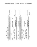 Wafer Level Burn-In and Electrical Test System and Method diagram and image