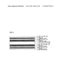 DISPLAY APPARATUS AND ELECTRONIC APPARATUS WITH THE SAME diagram and image