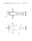 DETECTION OF ANIMATE OR INANIMATE OBJECTS diagram and image