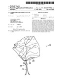 Compressible and Storable Bags and Items diagram and image