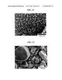 METHOD FOR PREPARING METAL COMPOUND NANOPARTICLES diagram and image