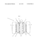 Method of Local Delivery of Bioactive and Diagnostic Agents Using Magnetizable Bone Cement diagram and image