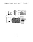 USE OF SIRT7 FOR TREATING AGE-RELATED DISEASES diagram and image