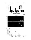 ASYMMETRIC LIPOSOMES AND USES IN MEDICAL FIELD THEREOF diagram and image