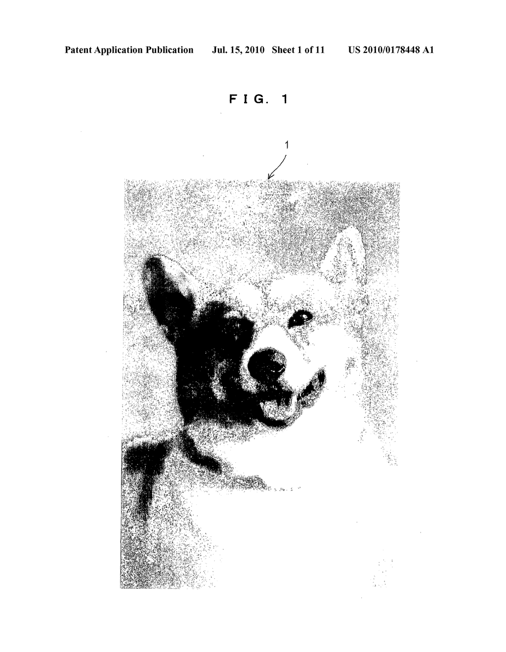 BEAD PICTURE BASED ON IMAGE DATA AND MANUFACTURING METHOD THEREOF - diagram, schematic, and image 02