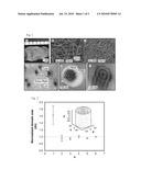 FIBERS AND FIBER-BASED SUPERSTRUCTURES, THEIR PREPARATION AND USES THEREOF diagram and image