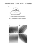 FIBERS AND FIBER-BASED SUPERSTRUCTURES, THEIR PREPARATION AND USES THEREOF diagram and image