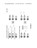 Multiple Analysis of Blood Samples diagram and image