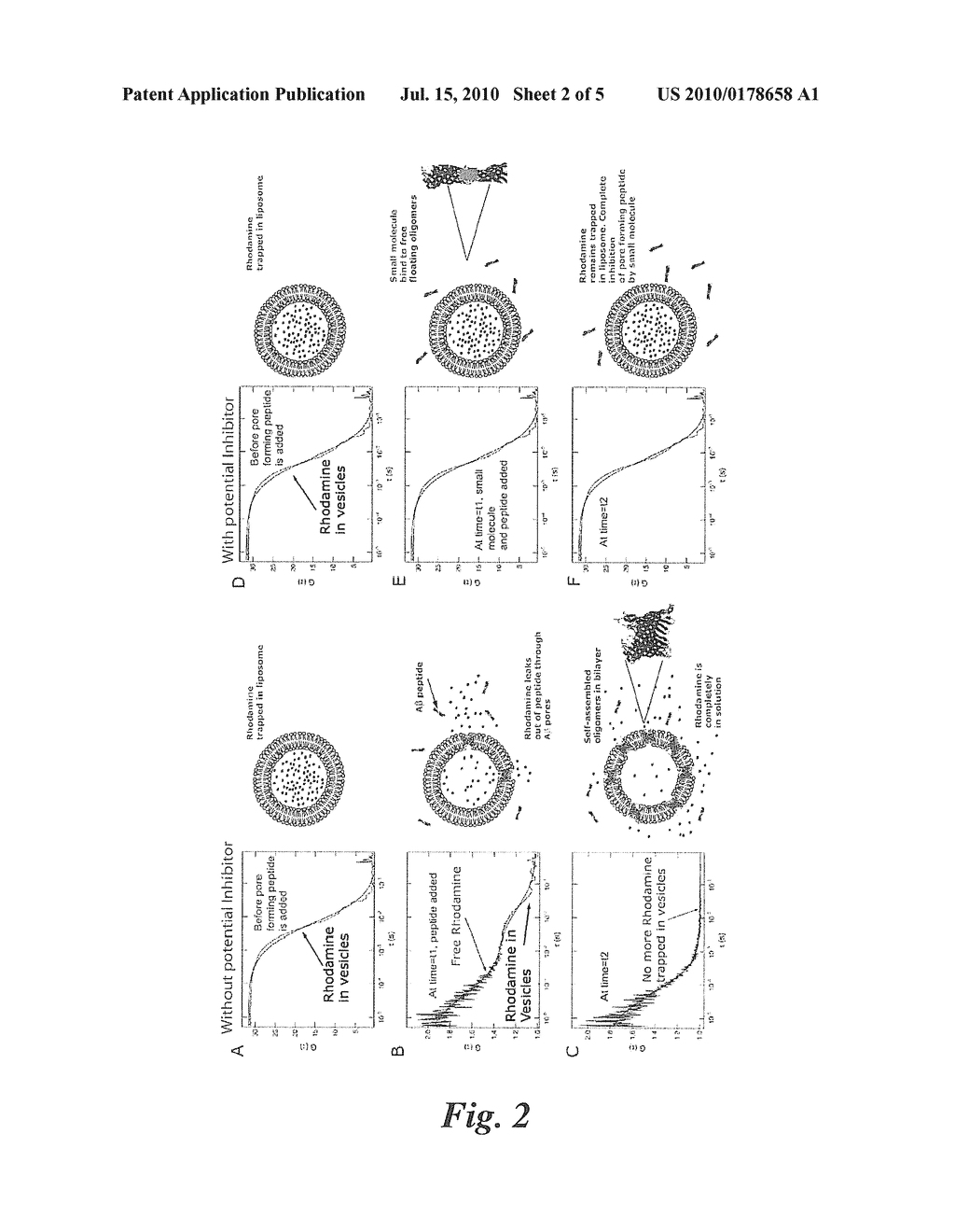 SCREENING ASSAYS FOR INHIBITORS OF BETA AMYLOID PEPTIDE ION CHANNEL FORMATION - diagram, schematic, and image 03