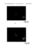 OPTICAL MEASUREMENT METHOD FOR DETERMINING THE PH OF A MEDIUM USING AGELADINE A AS A FLUORESCENT PH INDICATOR diagram and image