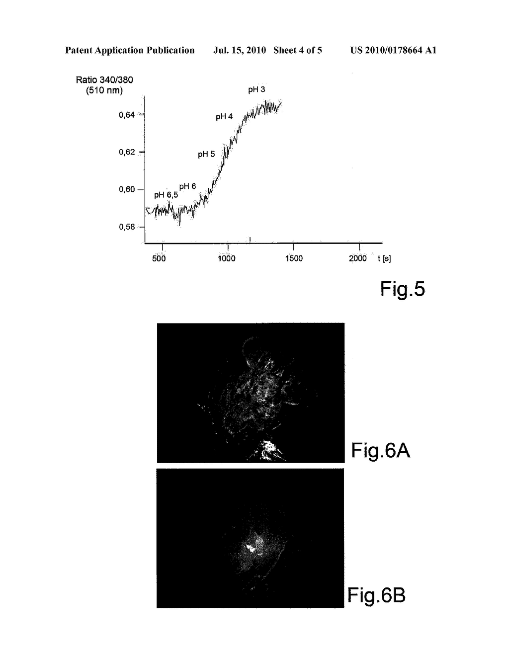 OPTICAL MEASUREMENT METHOD FOR DETERMINING THE PH OF A MEDIUM USING AGELADINE A AS A FLUORESCENT PH INDICATOR - diagram, schematic, and image 05