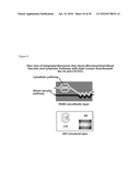 METHODS FOR ANTIBODY PRODUCTION diagram and image