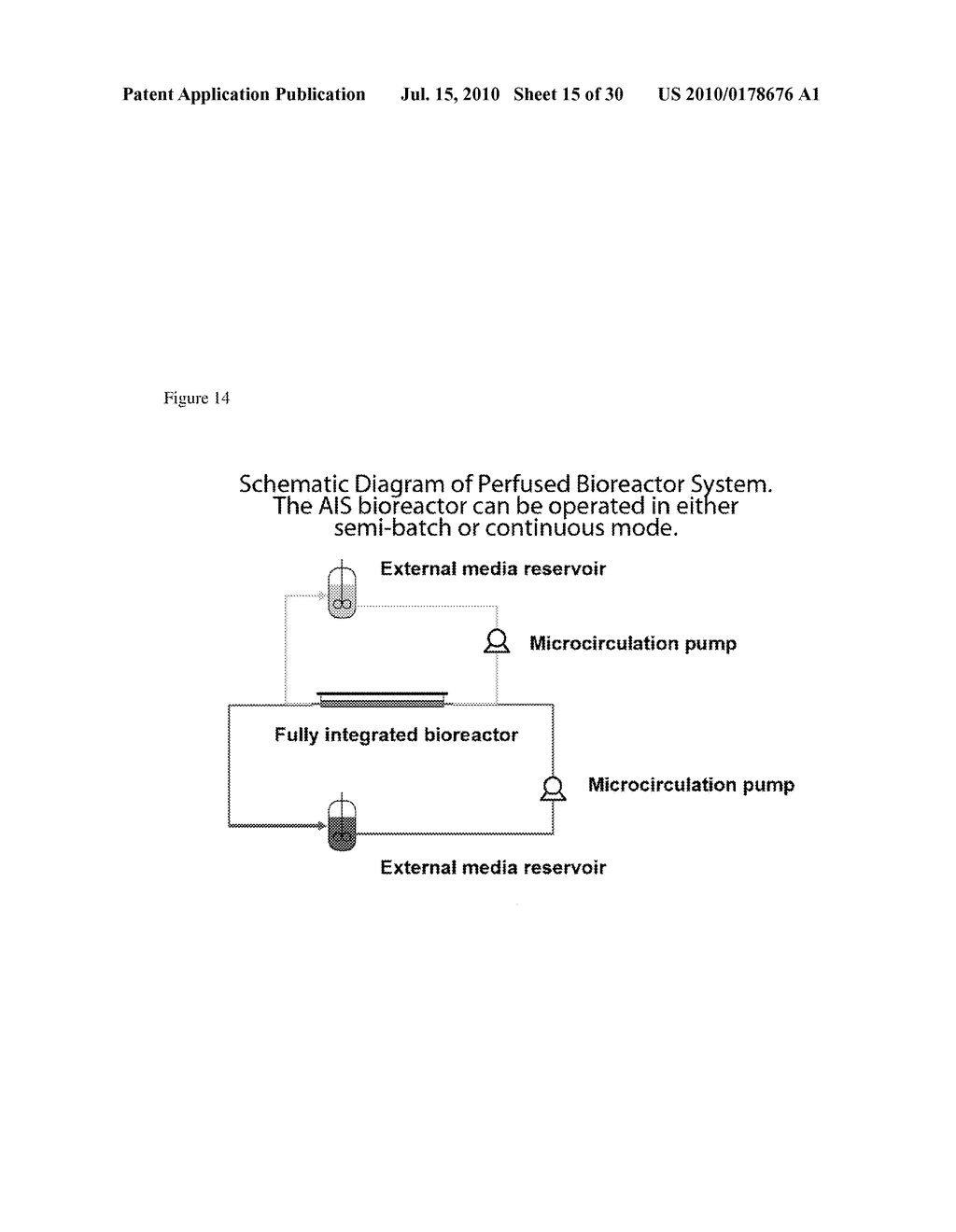 METHODS FOR ANTIBODY PRODUCTION - diagram, schematic, and image 16