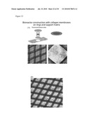 METHODS FOR ANTIBODY PRODUCTION diagram and image