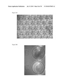 METHODS FOR ANTIBODY PRODUCTION diagram and image