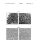 LIPID-FREE SCAFFOLDS FOR HUMAN VOLUME REPLACEMENT OR CELL CULTURE AND USE THEREOF diagram and image