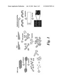 DNA Damage Testing diagram and image