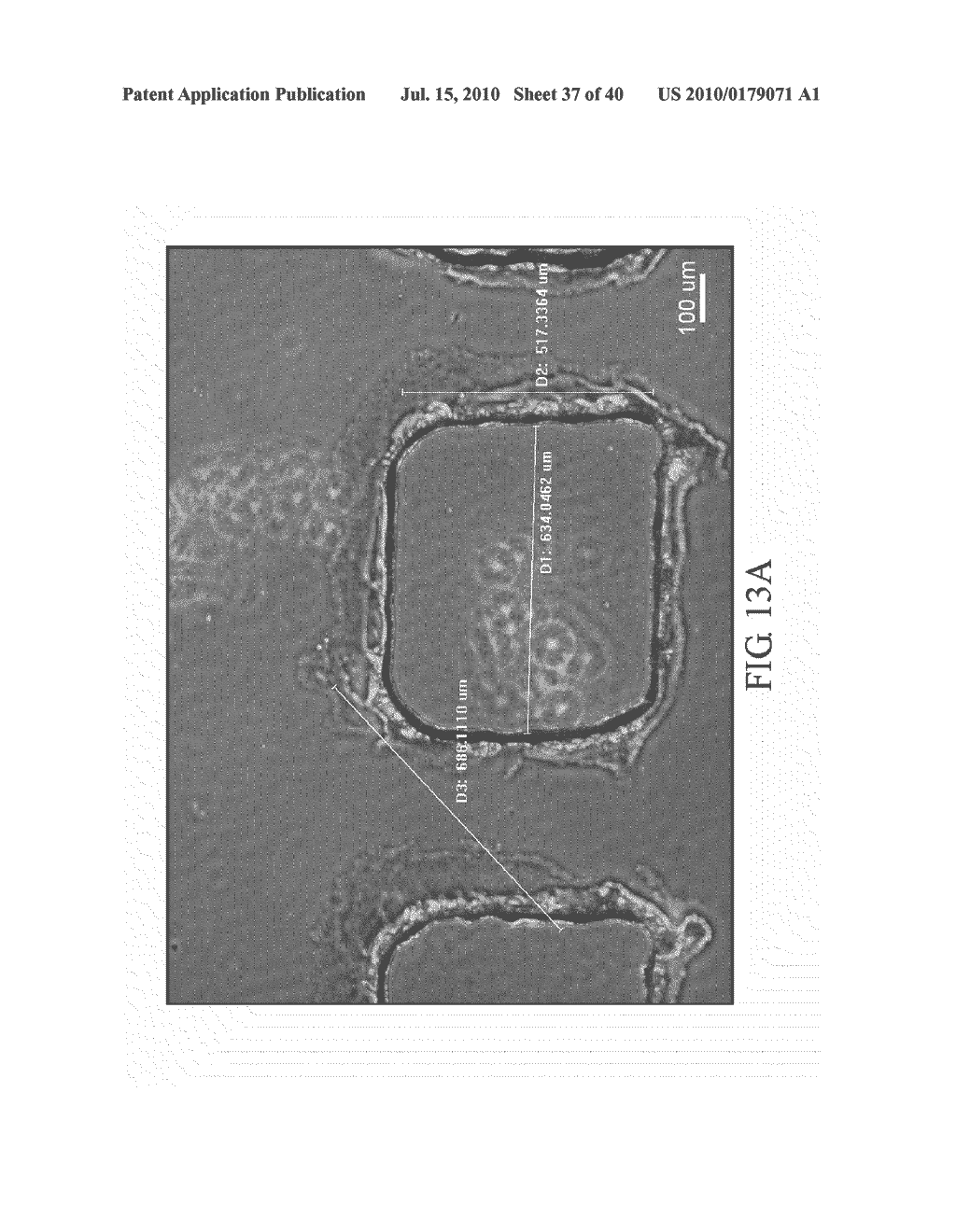 CELL PATTERN AND METHOD FOR PRODUCING THE SAME - diagram, schematic, and image 38