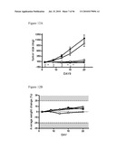 BISPECIFIC EGFR/IGFIR BINDING MOLECULES diagram and image