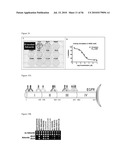 BISPECIFIC EGFR/IGFIR BINDING MOLECULES diagram and image