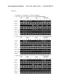 BISPECIFIC EGFR/IGFIR BINDING MOLECULES diagram and image