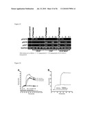 BISPECIFIC EGFR/IGFIR BINDING MOLECULES diagram and image