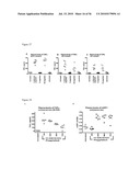 BISPECIFIC EGFR/IGFIR BINDING MOLECULES diagram and image