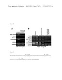 BISPECIFIC EGFR/IGFIR BINDING MOLECULES diagram and image