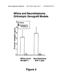 CARBOLINE DERIVATIVES USEFUL IN THE INHIBITION OF ANGIOGENESIS diagram and image