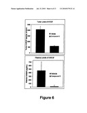 CARBOLINE DERIVATIVES USEFUL IN THE INHIBITION OF ANGIOGENESIS diagram and image