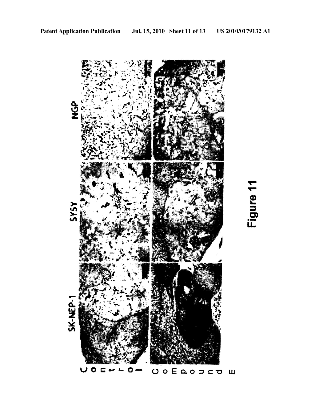 CARBOLINE DERIVATIVES USEFUL IN THE INHIBITION OF ANGIOGENESIS - diagram, schematic, and image 12